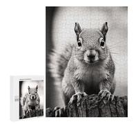 Adults Wooden Puzzles for Home Decor, Unique Shaped Light Gray Squirrel Puzzle with Exquisite Box, Personalized Wooden Jigsaw 500 PCS for Family Game Gift, Travel, Art Decor