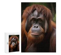 Adults Wooden Puzzles for Home Decor, Unique Shaped Orangutan Taking Photo Puzzle with Exquisite Box, Personalized Wooden Jigsaw 300 PCS for Family Game Gift, Travel, Art Decor