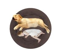 ADUODAO Round Plush Dog Bed Orthopedic Pet Nest, Washable Calming Puppy Sofa Bed Cuddler Cat Cushion, Anti Anxiety Pet Bed for Large Medium Small Dogs and Cats (140x140x20cm,Brown)