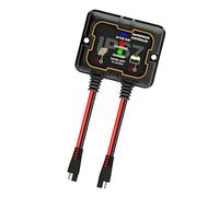 Advanced 100A Solar Regulator for 12V Applications Featuring Smart and Strong Build Off Grids Solar Arrangement Controller