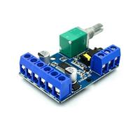 Advanced 30Wx2 Double Channel Digital Sound Digital Amplifier Module Effective Heat Management And Reliability Operate Double Channel Module