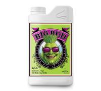 Advanced Big Bud