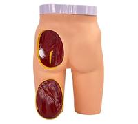 Advanced Buttock Injection Manikin Model Training The Left Buttocks Is Detachable, The Anatomical Structure Is Accurate And Clear, The Simulation Is High, Suitable For School Use.