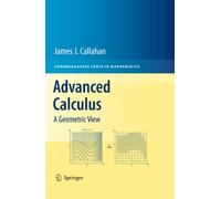 Advanced Calculus: A Geometric View (Undergraduate Texts in Mathematics)