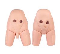 Advanced Catheterization Model,Urethral Catheterization Simulator Kit Model Male Female Interchangeable Nursing Model fo