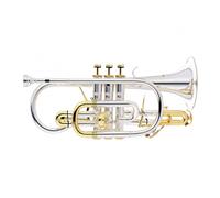 Advanced Cornet with Gold Plated Accents by Gear4music
