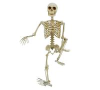 ADVANCED GLOBAL PRODUCTIONS 3ft Halloween Posable Skeleton, Realistic Spooky Full Body Hanging Skeleton, Halloween Prop, Décor for Haunted House, Halloween Decoration
