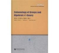Advanced Lectures in Mathematics (ALM 12):Cohomology of Groups and Algebraic K-theory