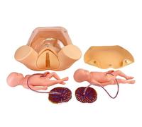 Advanced Midwifery Training Childbirth Simulator, Life Size Gynecology Maternity Teaching Model Includes Models of Baby Uterus Amniotic Sac Pelvis and Placenta Umbilical for Training