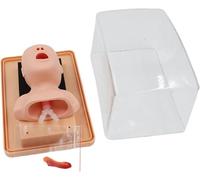 Advanced Neonatal Intubation Manikin, PVC Infant Tracheal Intubation Training Model - First Aid Oral/Oral Nasal Intubation Airway, for Nursing Teaching Education
