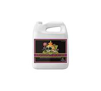 Advanced Nutrients Voodoo Juice 4L - Root Enhancer Beneficial Bacteria