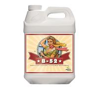 Advanced Nutrition B-52 10L Advanced Nutrients Vitamin Booster Fertilizer - Hydroponics