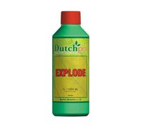 Advanced Nutrition Dutch Pro Explode 250 ml- Flowering Boost