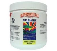 Advanced Nutrition Supernatural Bud Blaster 1Kg Super Natural