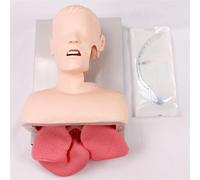 Advanced Oral Nasal Intubation Manikin - Adult Airway Management Trainer, with Tooth Alarm - Tracheal Intubation Training Simulator Model