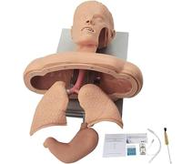 Advanced Oral Nasal Intubation Manikin,Intubation Manikin Airway Management Trainer,with Tooth Alarm Device Simulator Airway Management Trainer Intubation Head Teaching