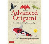 Advanced Origami: An Artist's Guide to Folding Techniques and Paper (Includes New DVD): An Artist's Guide to Folding Techniques and Paper: Origami ... ... Projects: Instructional Videos Included