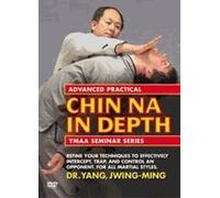 Advanced Practical Chin Na In-Depth [DVD]Region 0 playable anywhere on a dvd player