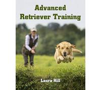 Advanced Retriever Training