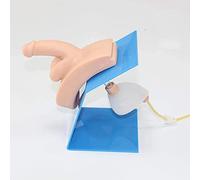 Advanced Wearable Male Urethral Catheterization Model-Catheter Anatomy Teach Set-Genital Organ Model-Manikin Teaching Model Catheterization Simulator-for Practice Doctors Nurse Practice Training