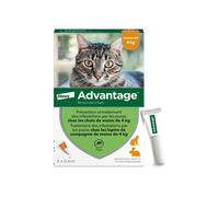 Advantage Antiflea Solution Cat Rabbit 1 to 4kg 6 pipettes