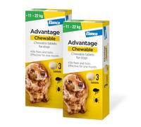 Advantage Chewable 450mg Chewable Tablets for Dogs >11-22kg (6 pack), Flea and Tick Treatment, Fast Acting Kills Fleas Within Hours, Prevention Lasts For A Month, Easy To Administer