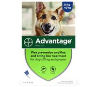 Advantage 400 Spot On Flea Control Extra Large Dog - 400 Extra Large Dogs Over 25kg - 4 Pipettes