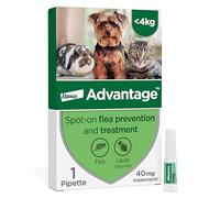 Advantage Spot On Flea Treatment For Cats, Dogs and Rabbits Under 4kg (1 pipette, 40mg), Kills Fleas Within 24 Hours, Prevents Further Infestation For Up To Four Weeks in Cats and Dogs