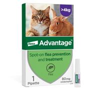 Advantage Spot On Flea Treatment For Large Cats and Rabbits Over 4kg (1 pipette, 80mg), Kills Fleas Within 24 Hours, Prevents Further Infestation For