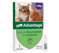 Advantage Spot On Flea Treatment For Large Cats and Rabbits Over 4kg (1 pipette, 80mg), Kills Fleas Within 24 Hours, Prevents Further Infestation For Up To Four Weeks in Cats