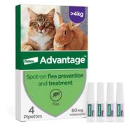 Advantage Spot On Flea Treatment For Large Cats and Rabbits Over 4kg (4 pipettes, 80mg), Kills Fleas Within 24 Hours, Prevents Further Infestation Fo