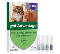 Advantage Flea Treatment 80 for Large Cats and Rabbits 4x Pipette, For Pets Weighing More than 4kg, Spot-on Treatment to Kill and Prevent Fleas on Large Cats and Treat Fleas on Pet Rabbits