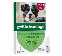 Advantage Spot On Flea Treatment For Large Dogs 10 - 25kg (1 pipette, 250mg), Kills Fleas Within 24 Hours, Prevents Further Infestation For Up To Four Weeks