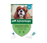 Advantage Spot On Flea Treatment for Medium Dogs 4-10kg, 4 Pipettes