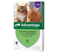 Advantage Spot On Flea Treatment Solution 4 Pipette