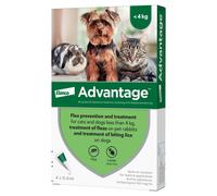 Advantage Spot On Flea Treatment Solution 4 Pipette