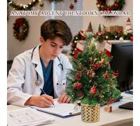 Advent Anatomy Calendar - Christmas Decoration Countdown 2D Pendant 24 Day Design | Scientific Anatomy Organs Ornaments, Model Decoration For Medic