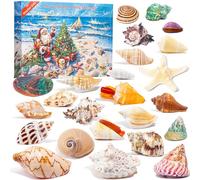 Advent Calendar 2025 Crystals for Kids with 24 Days Christmas Countdown, Natural Rock Stones & Minerals for Exploring, Learning, Scientific Xmas Gift for Girls & Boys (Seashell Advent Calendar)