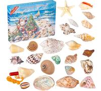 Advent Calendar 2025 Kids Shells with 24 Days Christmas Countdown Surprises Ocean Seashells Starfish Christmas Calendar Xmas Gifts for Girls Boys