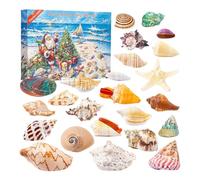 Advent Calendar 2025 Shell Decoration, 24 Days Christmas Countdown Surprise Gifts with Sea Shells, 3D Ocean Shells Advent Xmas Ornament for Kids