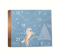 Advent Calendar 2025 - Winter Sky Design Horse Countdown Calendar with 24 Days Horse Gifts and Surprise, Gift for Horse Owners, Riders, and Stables