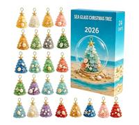 Advent Calendar Christmas Calendar 2D Acrylic 2026 Cute