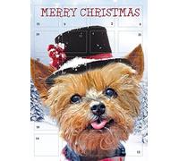 Advent Calendar Cute Puppy Dog Hat Snow Glitter Finish