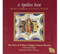 Advent To Epiphany - A Spotless Rose