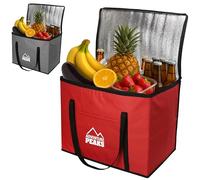 ADVENTURE PEAKS Insulated Cooler Bag Waterproof Leak Resistant Cool Box Lunch Bag With Handle Straps & Pocket Thermal Bag For Picnic Camping Beach Travel BBQ (Red, 30 Litre)