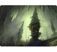 Adventures in the Forgotten Realms Art Card: Forest #61 | Adventures in the Forgotten Realms
