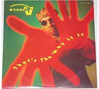 Adventures of Stevie V - That's the Way It Is [VINYL]