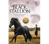 Adventures of the Black Stallion: Season One 2 [DVD] [Region 1] [US Import] [NTSC]