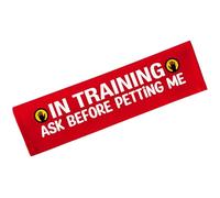Advivio in Training Ask Before Petting Funny Dog Leash Sleeve, Service Dog Alert Hanging ID Patch Tag, in Training Leash Wrap for Pet Birthday Gift
