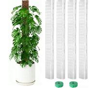 Advokingtap 24 Inch D-Shaped Plastic Moss Pole Set For Monstera & Climbing Plants - Vertical Growth Support, Flat Side Design For Stronger Root Grip(4PCs)